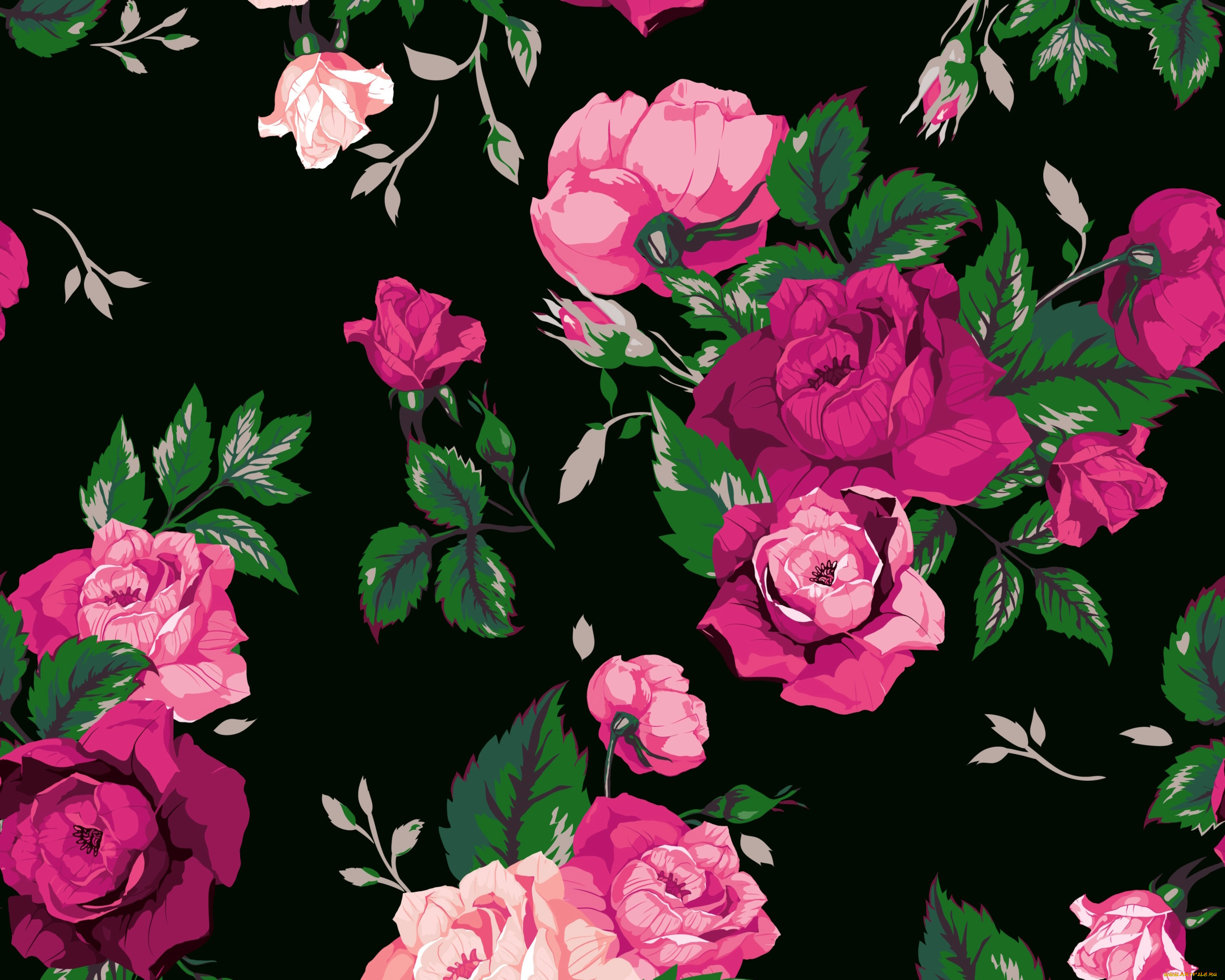  ,  , flowers, rose, floral, pattern, , , , 